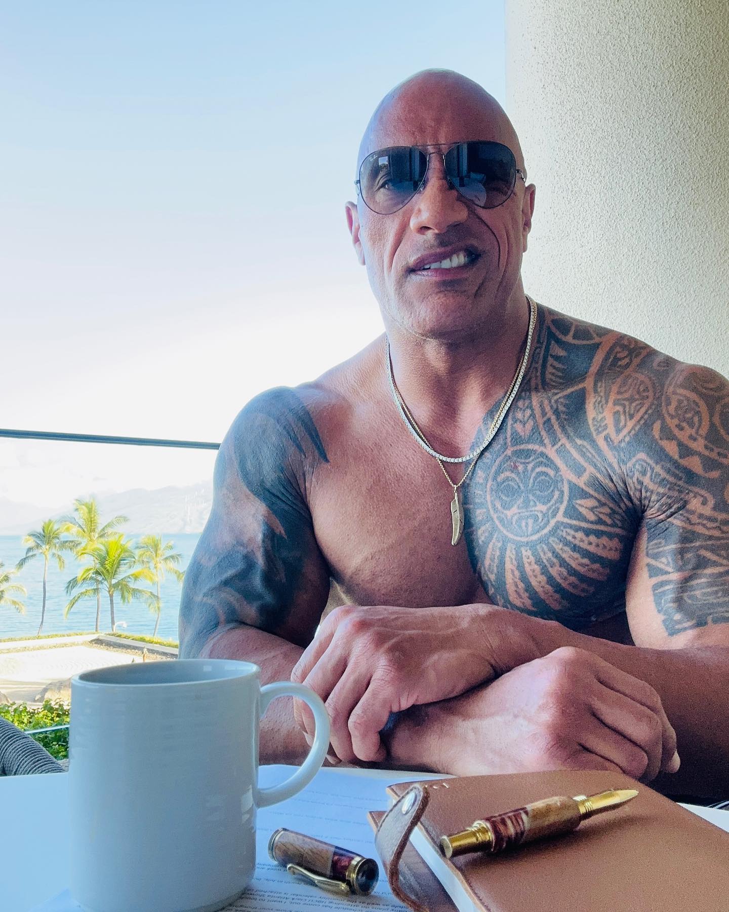 Dwayne Johnson Net Worth Age Height Wife Bio And More 